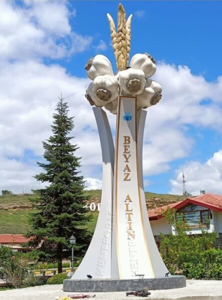 sarimsak-heykeli-taskopru-4